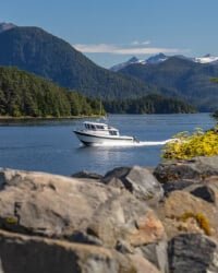 Elegant Royal Cruise ship with world-class cruise services and ocean views.