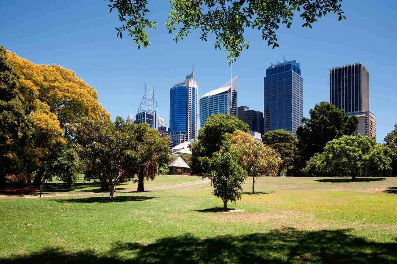 Sydney international flight offer